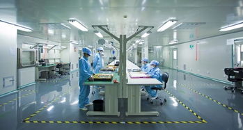 寵物DR技術大比拼 選擇適合你的X光診斷利器